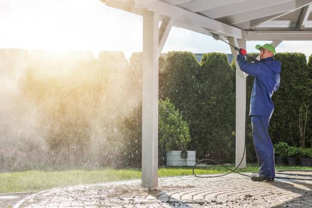 Best Pre-Holiday Cleaning  in Kidron, OH